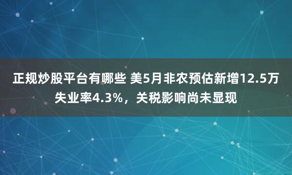 正规炒股平台有哪些 美5月非农预估新增12.5万失业率4.3%，关税影响尚未显现